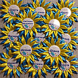 Значок Выпускник с розеткой Астра, фото 4