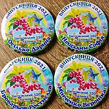 Именной значок Выпускник детского сада "Калинка", группа "Радуга", фото 2