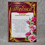 Благодарность для сотрудников детского сада с текстом. "Розовые розы", фото 5