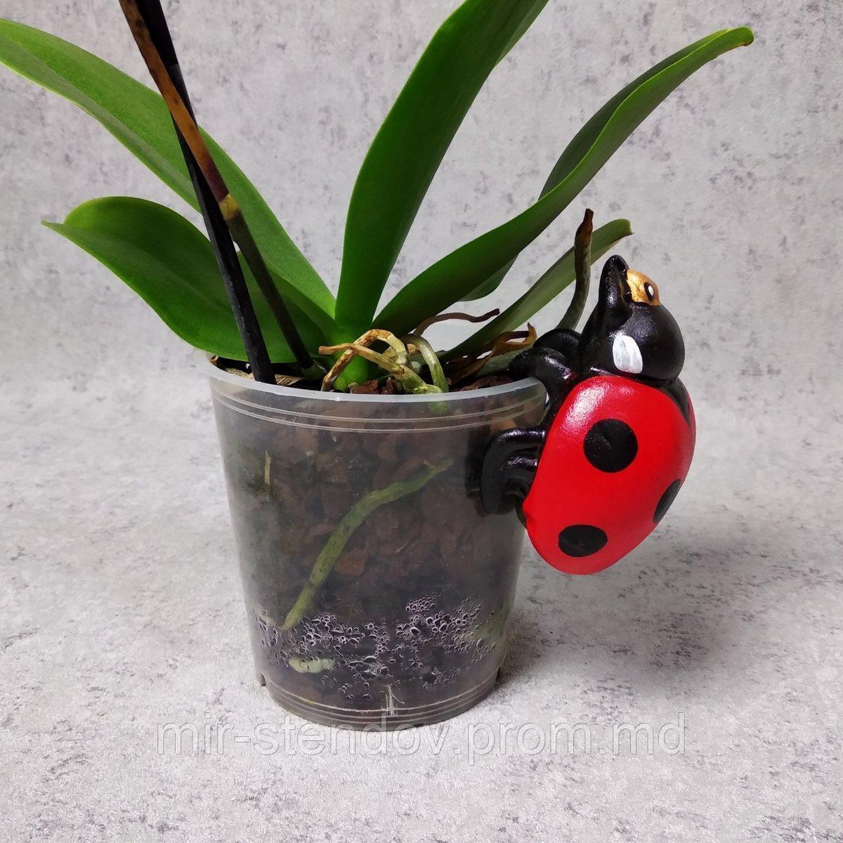 Керамическая фигурка "Божья коровка", фото 1