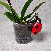 Керамическая фигурка "Божья коровка"