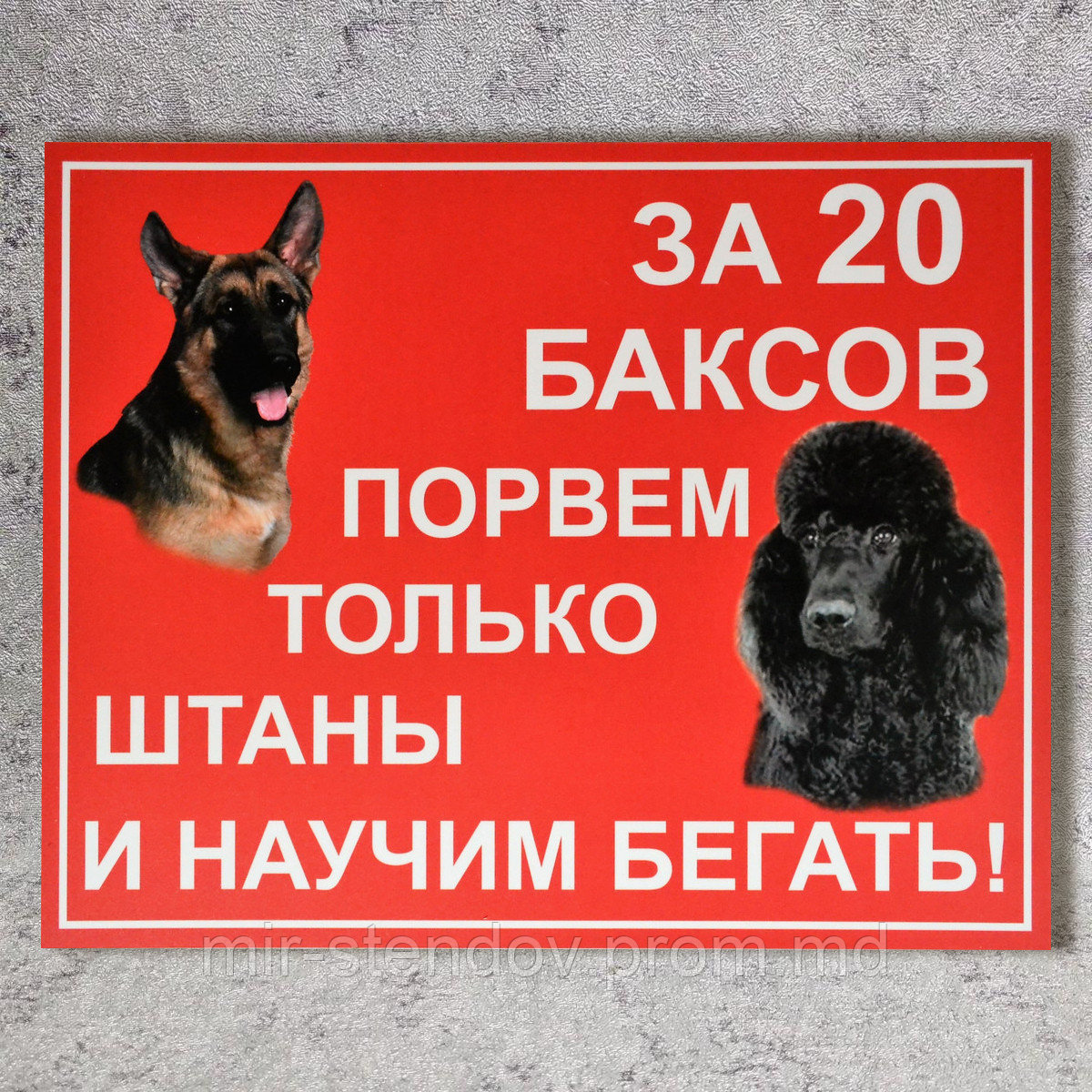 Табличка Осторожно, злая собака. Порву штаны - фото 1 - id-p5993896