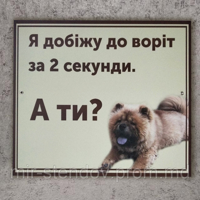 Табличка ""Я добегу до ворот за 2 секунды...", фото 1