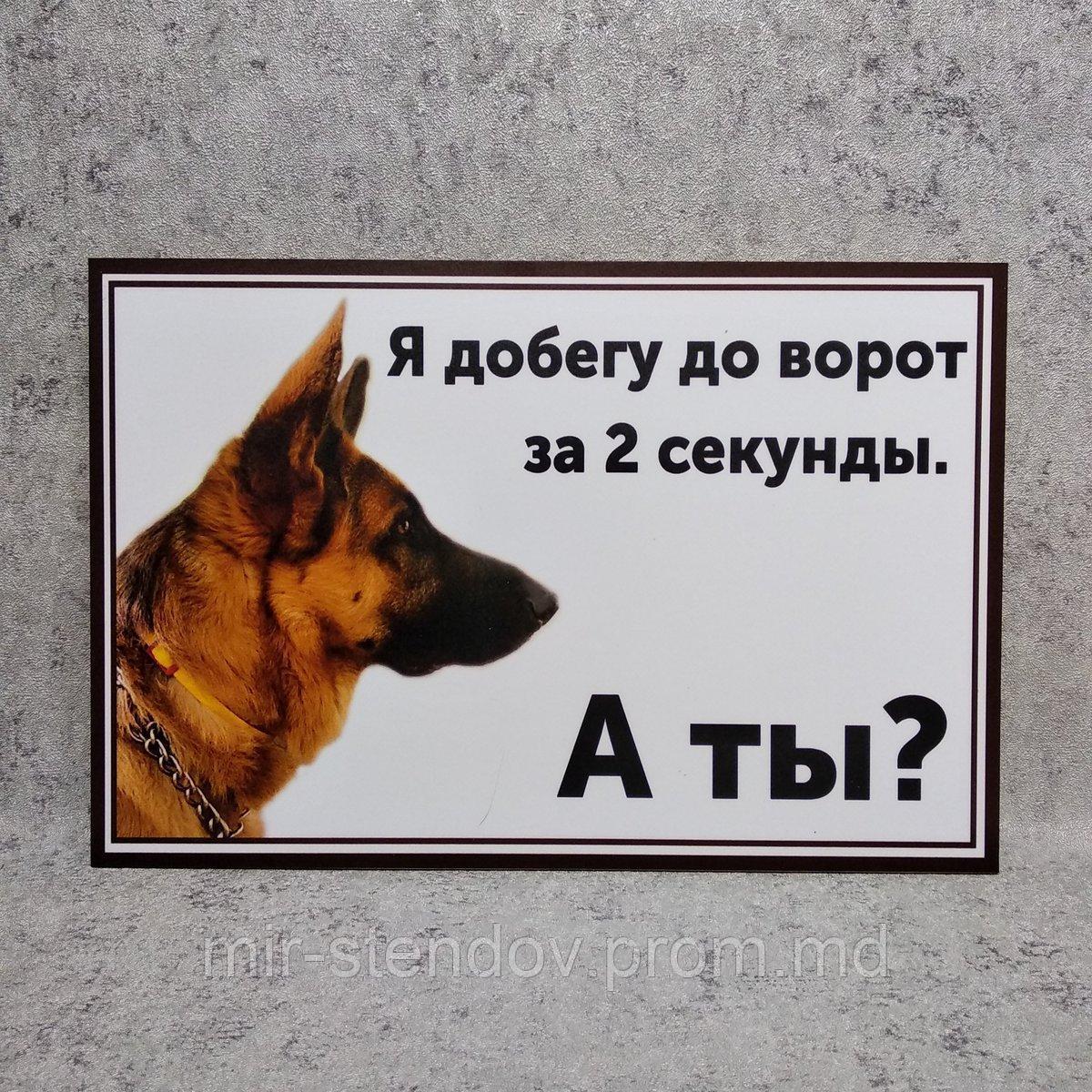 Табличка Я добегу до ворот за 2 секунды, а ты? (Овчарка), фото 1