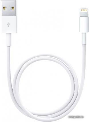 Apple Lightning/USB (0.5 м) ME291ZM/A - фото 1 - id-p10475449