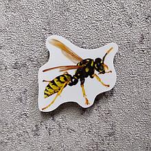 Оса. Магнит обучающий