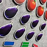 Магнитная математика Яблоки и сливы, фото 4