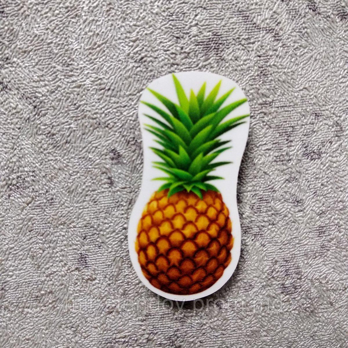 Ананас. Магнит обучающий, фото 1