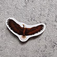 Орёл. Магнит обучающий