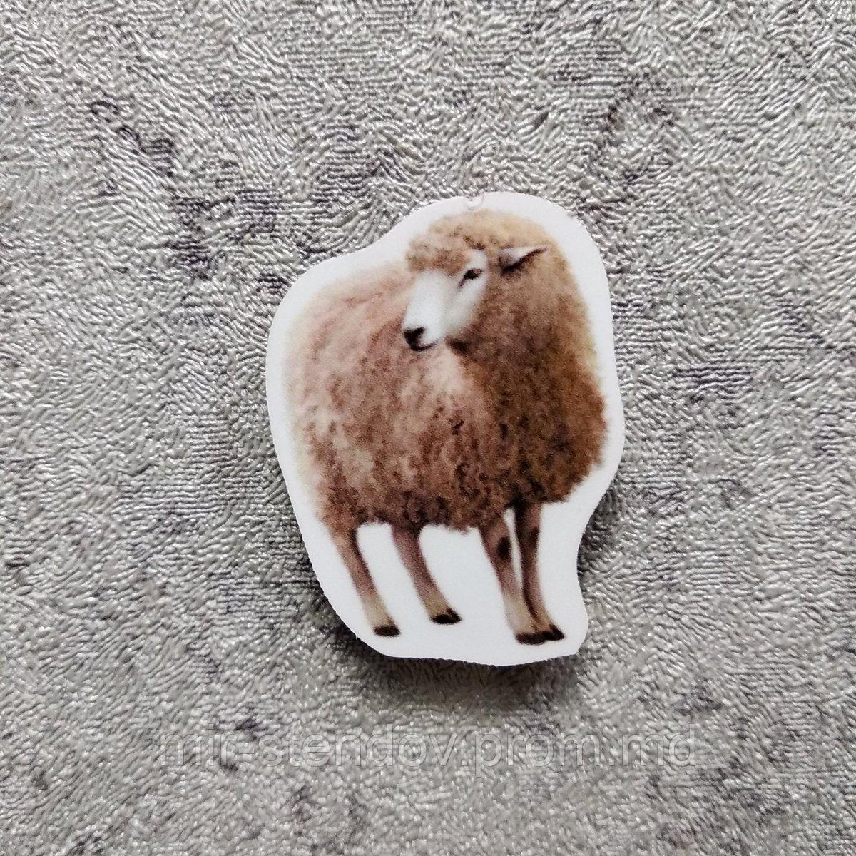 Овечка. Магнит обучающий, фото 1