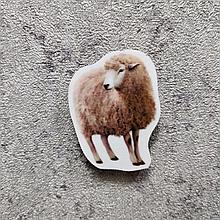 Овечка. Магнит обучающий