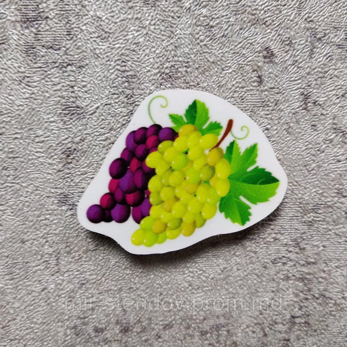 Виноград. Магнит обучающий, фото 1