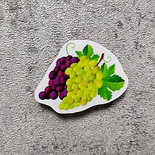 Виноград. Магнит обучающий