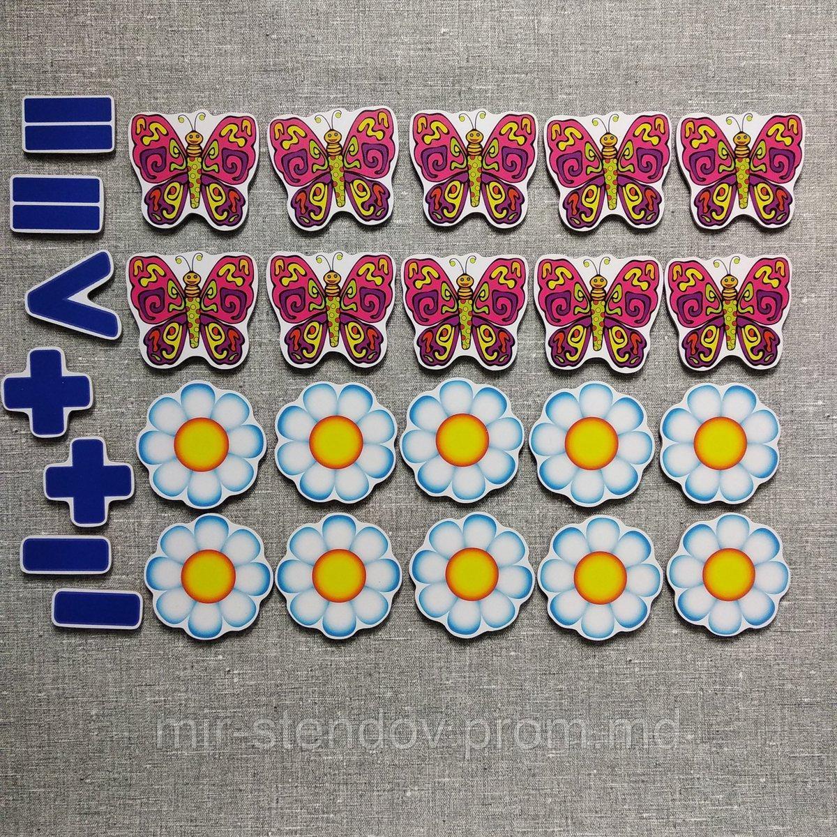 Магнитная математика Бабочки и ромашки, фото 1