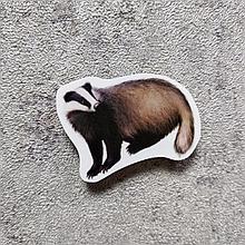 Барсук. Магнит обучающий