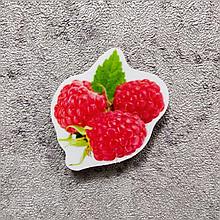 Малина. Магнит обучающий