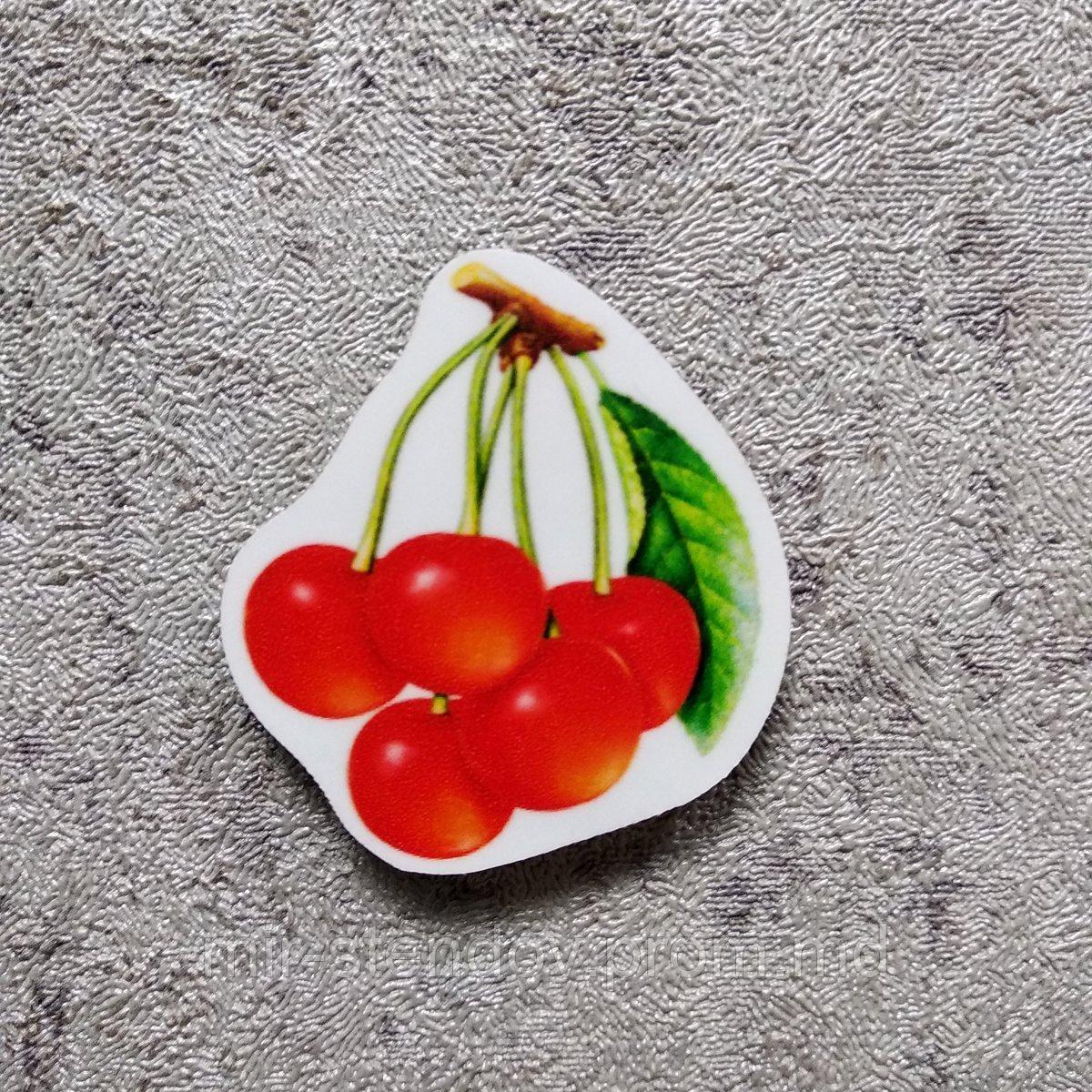 Вишни. Магнит обучающий, фото 1