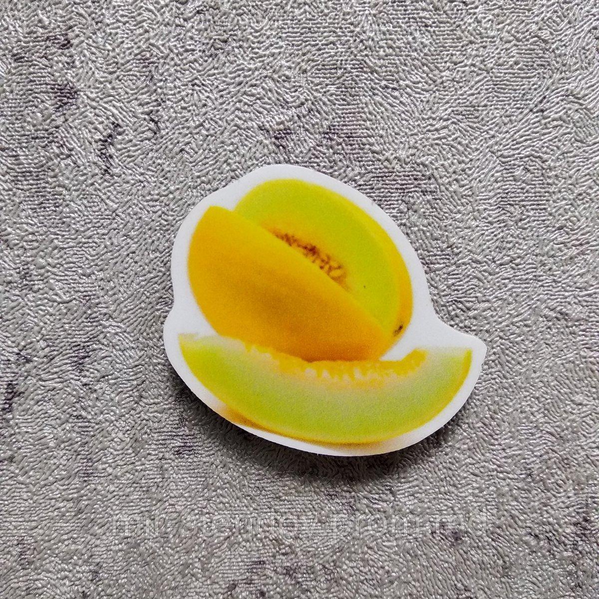 Дыня. Магнит обучающий, фото 1