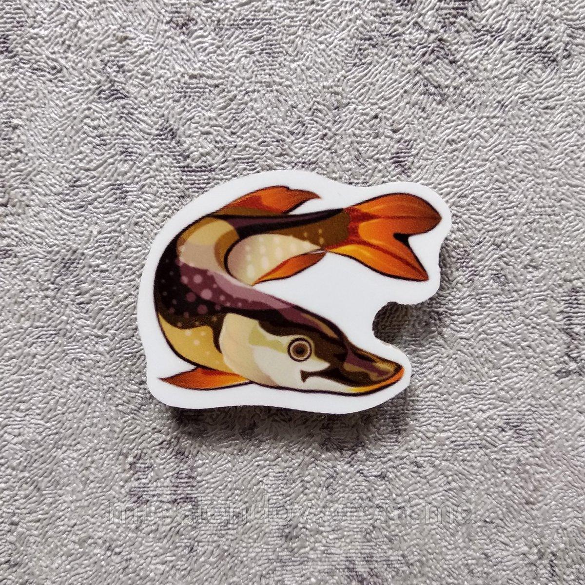 Щука. Магнит обучающий, фото 1