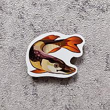 Щука. Магнит обучающий