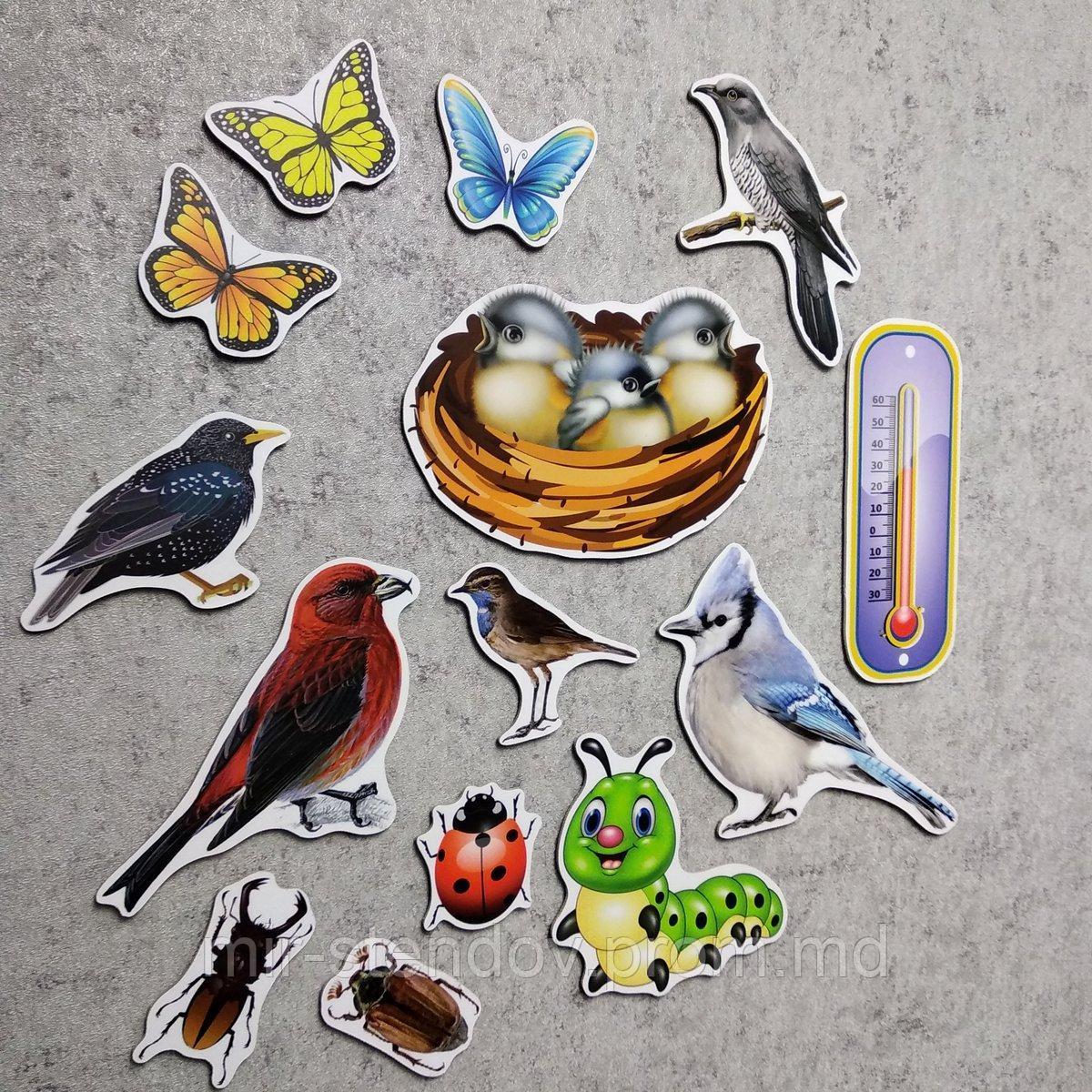 Набор развивающих магнитов "Птицы и насекомые", фото 1