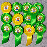 Значок с розеткой и хвостиками "Friendly English" (Level A1, Level A2), фото 4