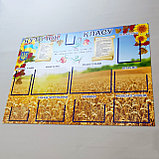 Классный уголок "Подсолнухи", фото 3