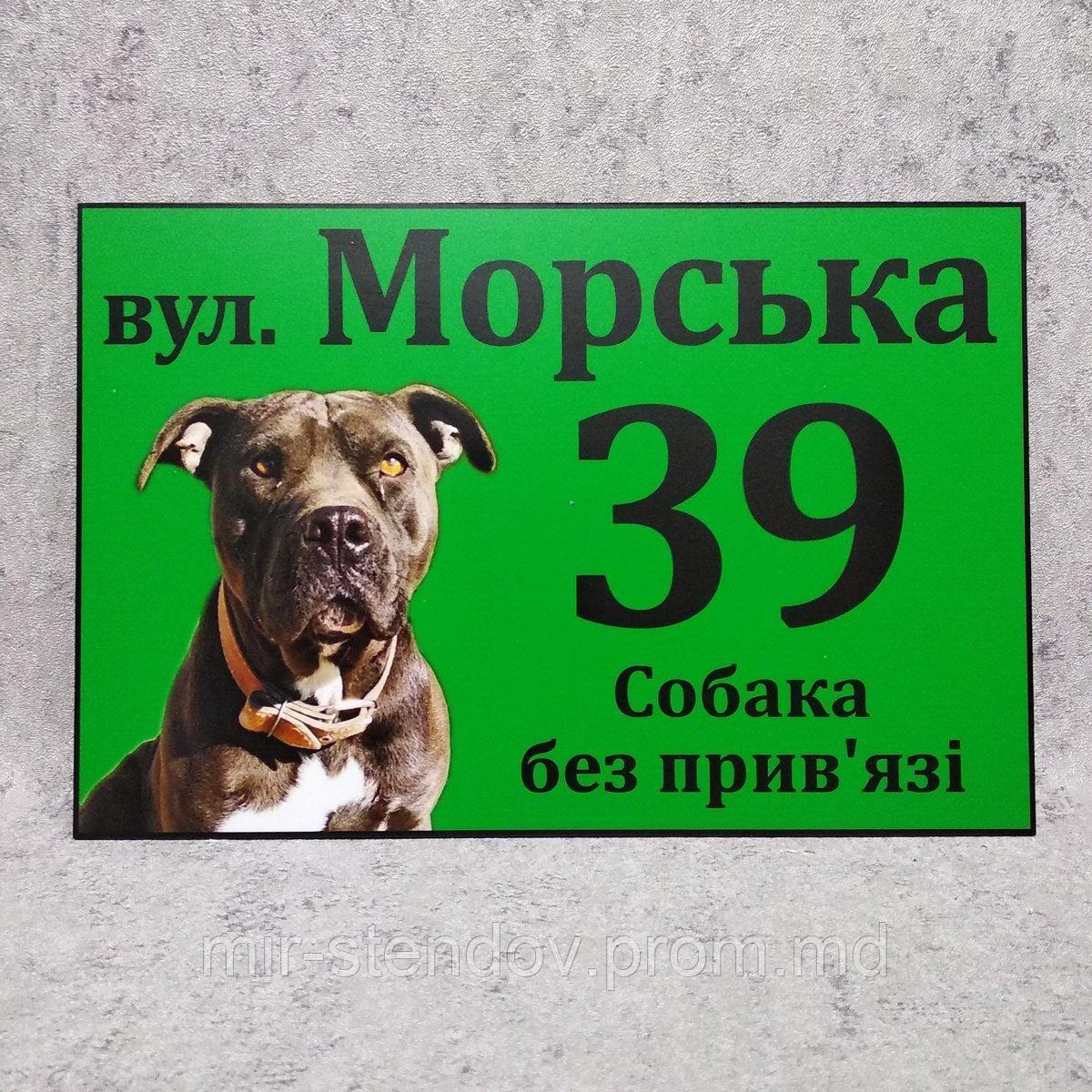 Адресная и предупреждающая табличка "Собака без привязи" (2 в 1) Амстафф (Зеленая) - фото 1 - id-p10480253