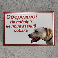 Табличка "Осторожно. Во дворе собака без привязи". Двортерьер