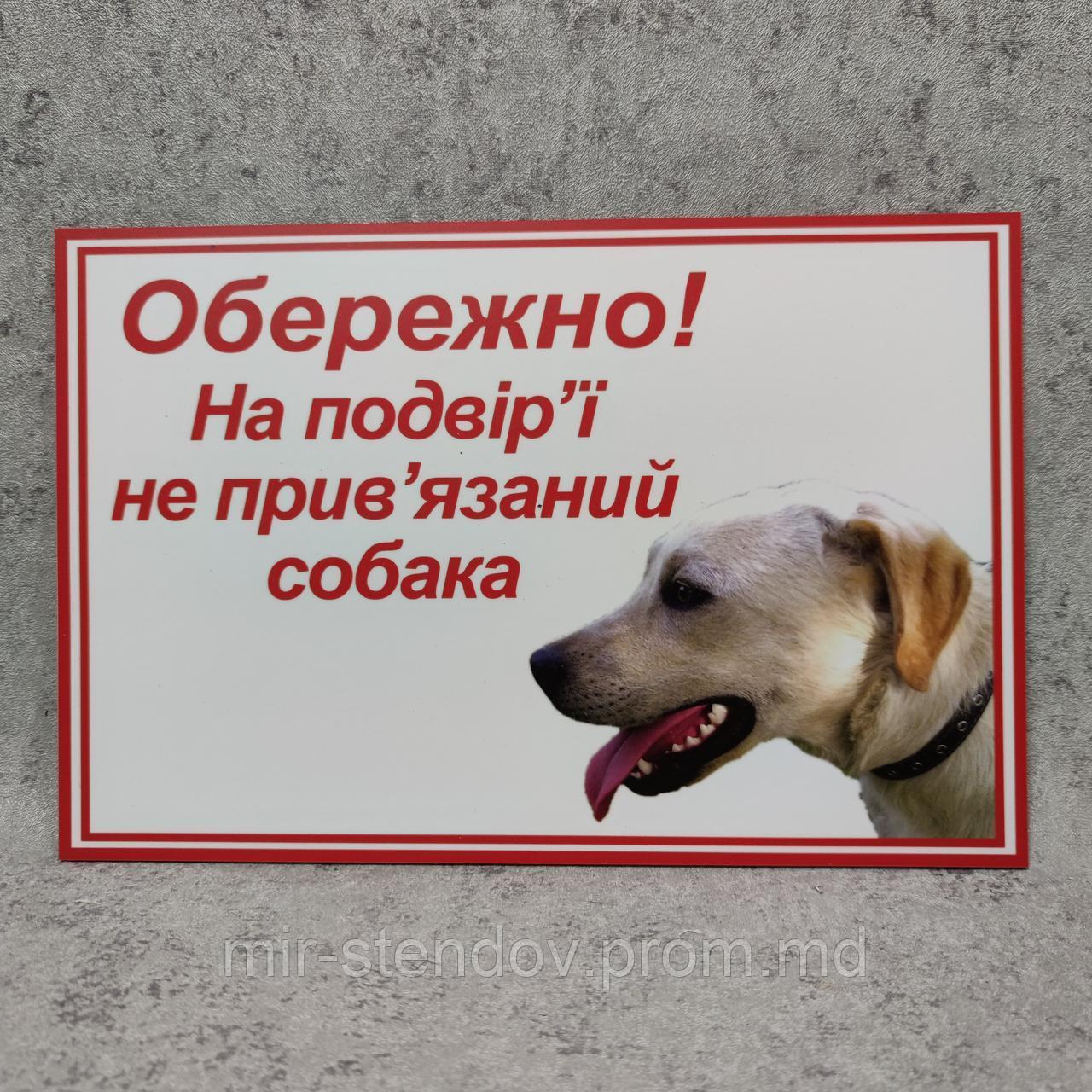 Табличка "Осторожно. Во дворе собака без привязи". Двортерьер - фото 1 - id-p10480805