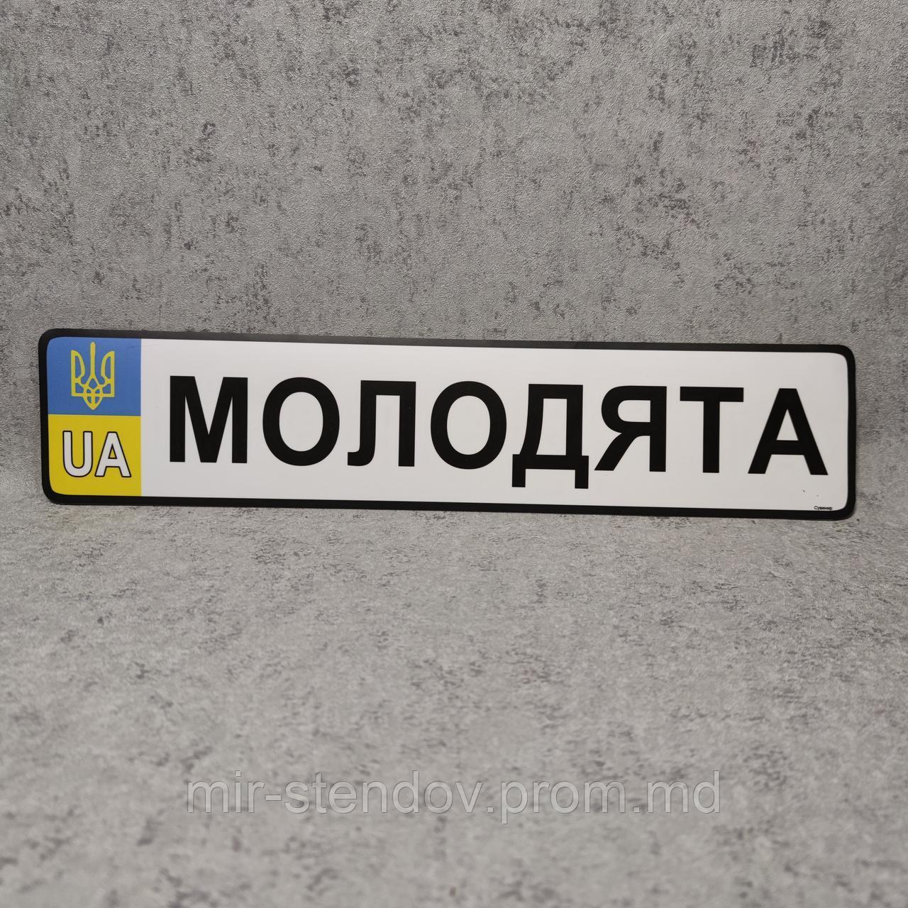 Сувенирная наклейка на госномер стандартного размера "Молодые", фото 1