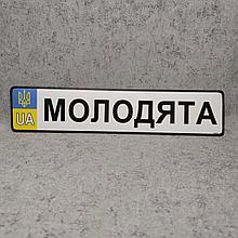 Сувенирная наклейка на госномер стандартного размера "Молодые"