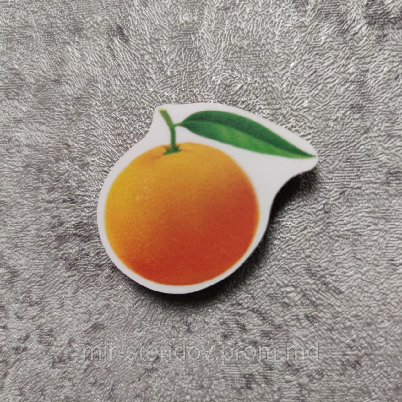 Магнит обучающий Апельсин, фото 1