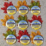 Значки с листочками Интеллект Украины, фото 2