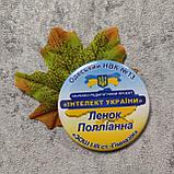 Значки с листочками Интеллект Украины, фото 5