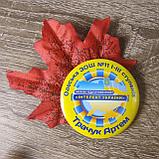 Значки Интеллект Украины с листочками, фото 2