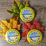 Значки Интеллект Украины с листочками, фото 4