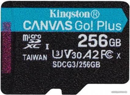 Kingston Canvas Go! Plus microSDXC 256GB - фото 1 - id-p10496791