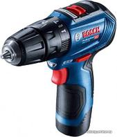 Bosch GSB 12V-30 Professional 06019G9100 (с 2-мя АКБ, кейс)