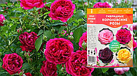 Гибридные королевские розы за 147 руб