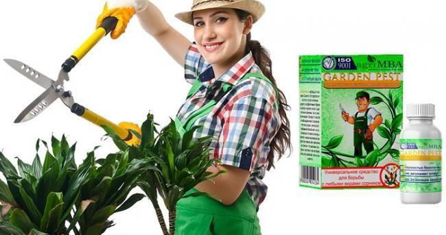 Garden Pest мощнейшее средство против сорняков за 149 руб - фото 1 - id-p10514077