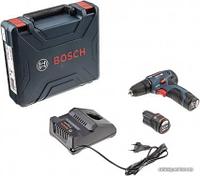 Bosch GSR 12V-30 Professional 06019G9000 (с 2-мя АКБ, кейс)
