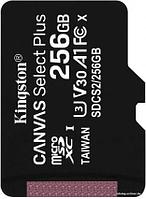 Kingston Canvas Select Plus microSDXC 256GB