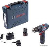Bosch GSB 120-LI Professional 06019G8100 (с 2-мя АКБ, кейс)