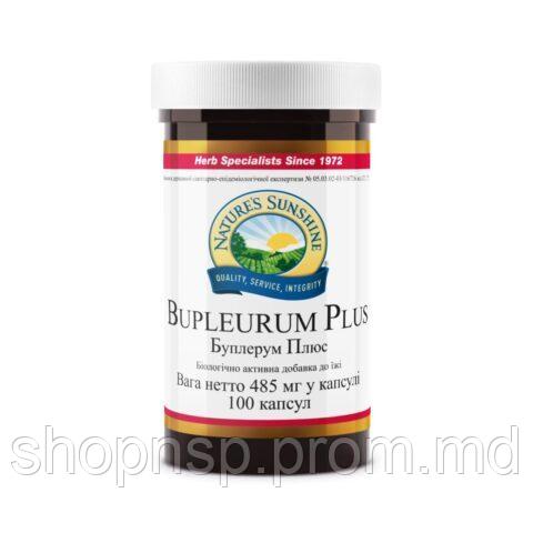 Bupleurum Plus Буплерум Плюс НСП - фото 1 - id-p10455644