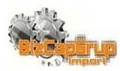SRL''BizCapGrup''