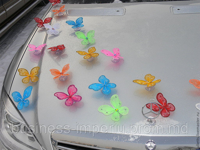 Бабочки на присосках - фото 1 - id-p1703025