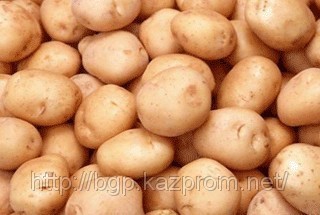 Картофелепродукты - фото 1 - id-p11121