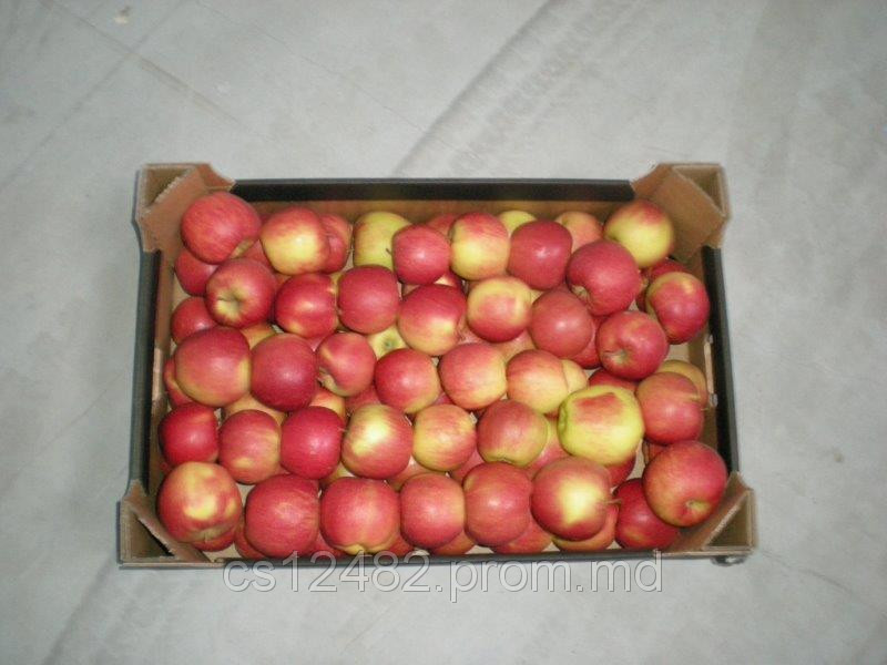 Яблоки из Польши от производителя польская компания - фото 1 - id-p1978649