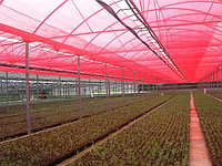 Chromatinet Red 30%, красная затеняющая сеть для ускоренного роста растений
